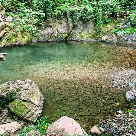 The Manor House Villa