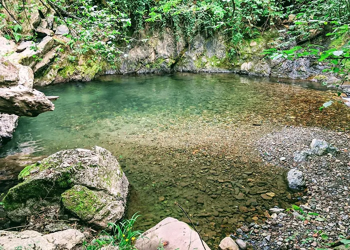 The Manor House Willa