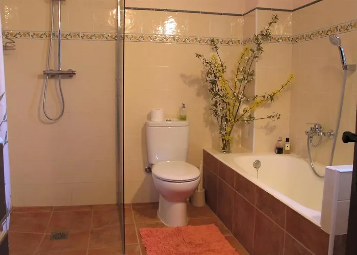 Willa The Manor House